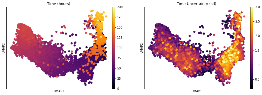 ../../_images/notebooks_publication_figures_cell2fate_HumanDevelopingBrain_23_0.png