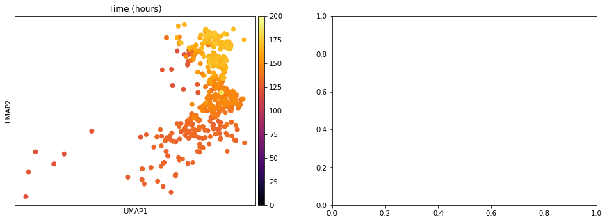 ../../_images/notebooks_publication_figures_cell2fate_HumanDevelopingBrain_25_0.png