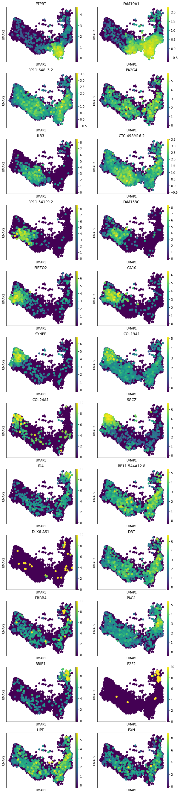 ../../_images/notebooks_publication_figures_cell2fate_HumanDevelopingBrain_41_1.png