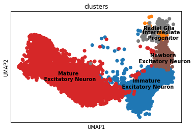 ../../_images/notebooks_publication_figures_cell2fate_HumanDevelopingBrain_9_0.png