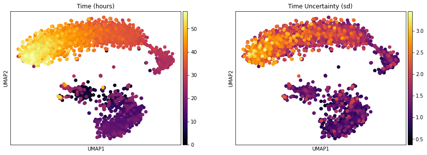 ../../_images/notebooks_publication_figures_cell2fate_MouseBoneMarrow_22_0.png