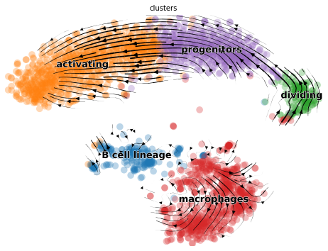 ../../_images/notebooks_publication_figures_cell2fate_MouseBoneMarrow_31_0.png