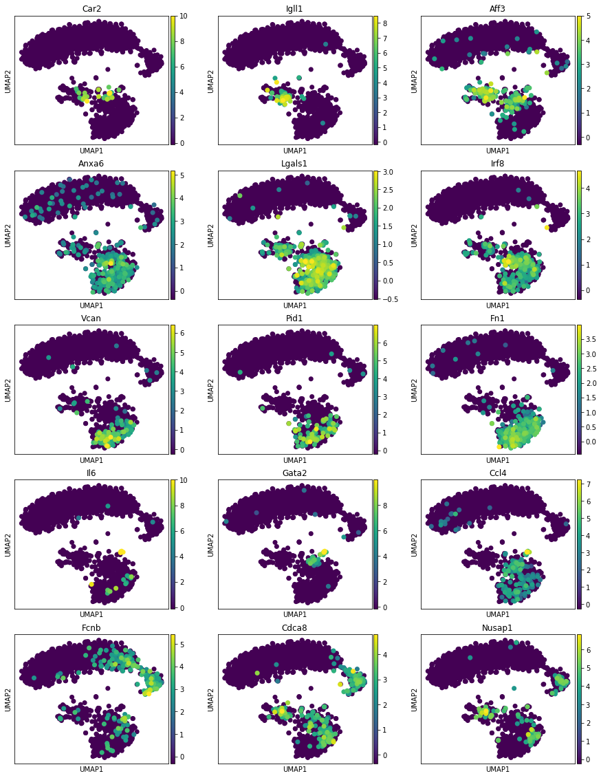 ../../_images/notebooks_publication_figures_cell2fate_MouseBoneMarrow_38_1.png