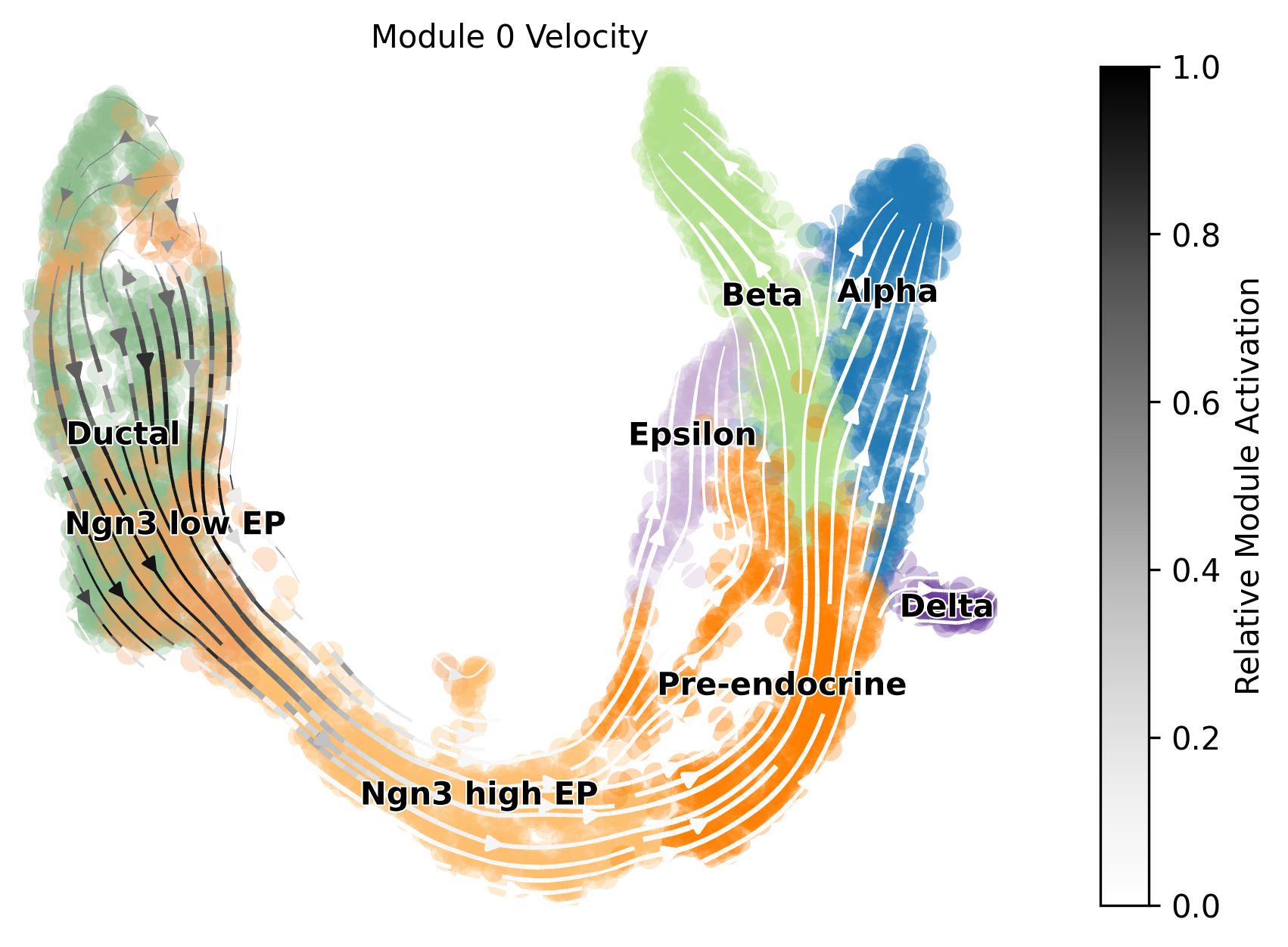 ../../_images/notebooks_publication_figures_cell2fate_PancreasWithCC_32_0.png