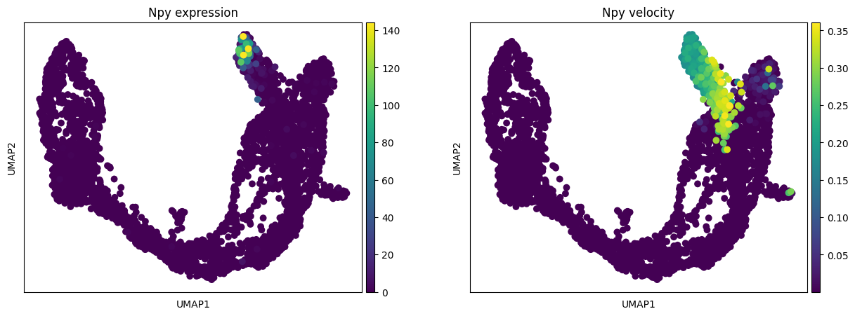 ../../_images/notebooks_publication_figures_cell2fate_PancreasWithCC_45_1.png