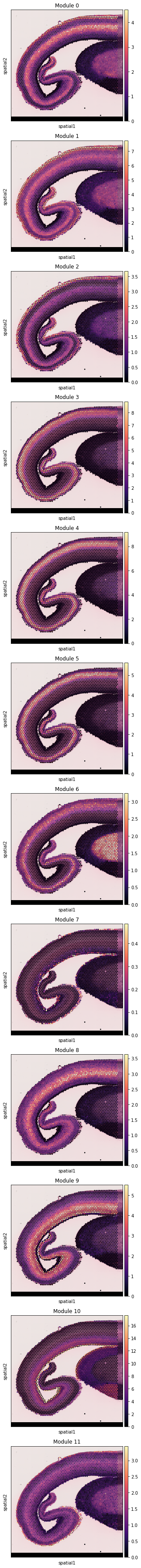 ../../_images/notebooks_publication_figures_cell2location_HumanDevelopingBrain_15_0.png